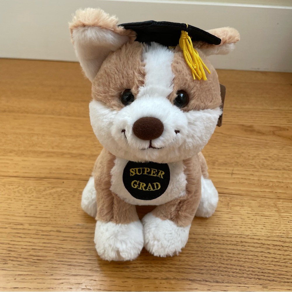 Aurora Super Grad Pup